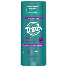 Tom's Of Maine - Deodorant Stick Lavender - Case Of 6 - 3.25 Ounces