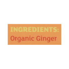 Equal Exchange - Tea Ginger - Case Of 6-20 Ct