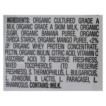 Happy Baby Happymelts Organic Yogurt Snacks For Babies And Toddlers Banana Mango - 1 Oz - Case Of 8